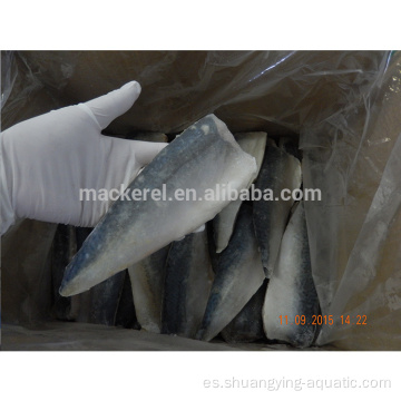 Filete de caballa de mariscos congelados chinos con estándar de la UE